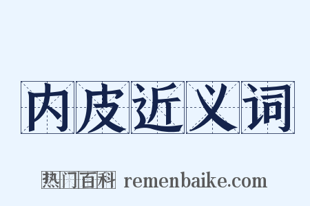 内皮近义词是什么意思的图片